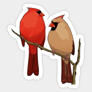 Northern Cardinal Couple Sticker